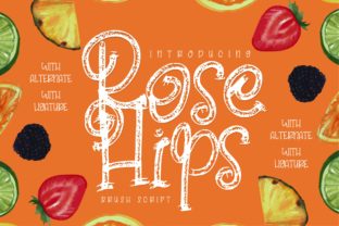 Rose Hips: A Handwritten Display Font for Editorial Design